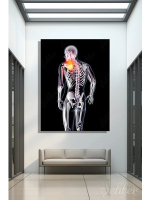 Şehzat Design Insan Vücudunun Arka Cepheden Yarı Saydam Anatomik Modeli Dikey Kanvas Tablo Tekli 3962