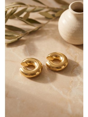 Bin1çeşit 316L Çelik Renk Çiftli Earcuff Küpe