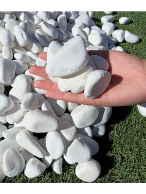 Taş 5 kg 2-4 cm Beyaz Dolomit Bahçe Taşı Çakıl Taşı Saksı Taşı Akvaryum Teraryum Taşı
