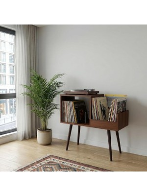 Ahes 44X78X80CM Ahşap Retro Pikap Sehpası, Metal Raflı Plak Organizer, Plak Düzenleyici, Pikap Dolabı, Yan Sehpa (Ceviz)