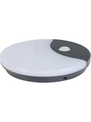 Ahes 12 Watt Bahçe Sıva Üstü Modern Armatür Sensörlü CT7092 TYC00197418341