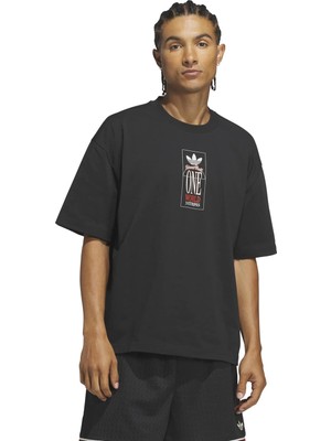 AKG8153 Adidas Wt Gfx Tee Erkek T-Shirt Siyah