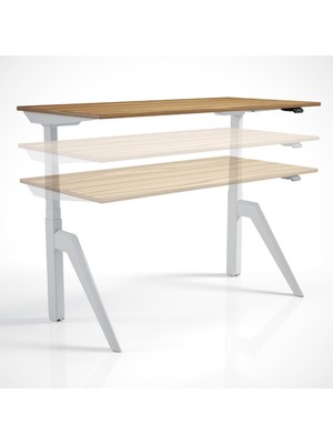 Odea Tr Regula Desk Dandy M - Elektrikli Yükseklik Ayarlı Çalışma Masası, Sıradışı Tasarım, Çift Motorlu Bluetooth Kontrollü, 60-125CM Ayar Aralığı, Ödüllü Kontrol Paneli (Siyah Ayak - Antrasit Tabla, 180X