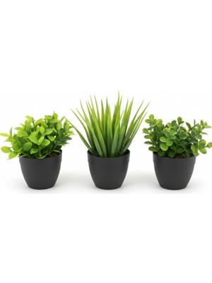 Odea Tr Ayrex Üçlü Mini Yapay Sukulent Seti – 8 cm Saksı, Dekoratif Küçük Bitki Seti, Gerçekçi Görünüm, Salon Ofis Ev Masa Üstü Süs Bitkisi, Bakım Gerektirmez, Modern Dekor (Siyah)