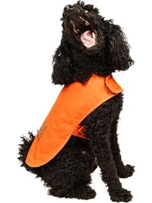 Odea Turuncu Renkli Su ve Rüzgar Geçirmez Köpek Montu - X-Large