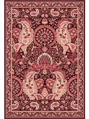 Rugs Modern Halı Sdtplus Geleneksel Madalyon Botanik Desenli Ince Dokuma Taban Salon Halısı OZL245