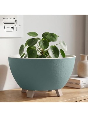 Odea Sora Saksı Süzgeçli Ayaklı Delikli Plastik Aranjman Sukulent Saksısı (Yeşil, 6.3 Litre)