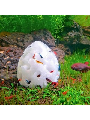 Odea Woof Akvaryum Karides ve Küçük Balık Saklanma,üreme Mağarası,saklanma Alanı 8 cm