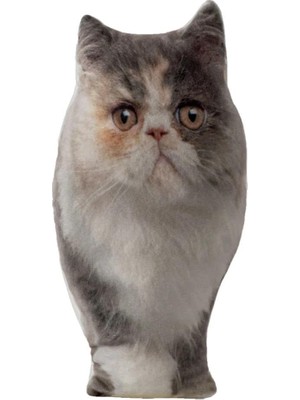 Odea Lepus 3 Boyutlu Kedi Yastığı Exotic No 4 40X25 cm
