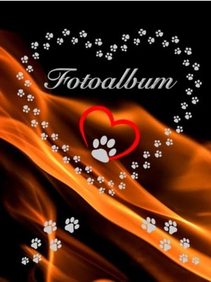 Toptan Budur Köpekler, Kediler ve Evcil Hayvanlar Için Fotoğraf Albümü, Feuer 04