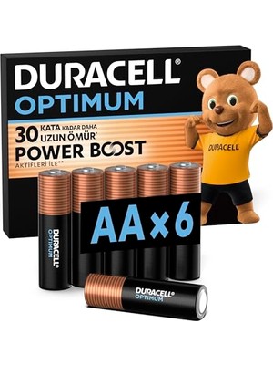 Toptan Budur Aa Alkalin Pil, 6'lı Paket, 1,5V, 30 Kata Kadar Daha Uzun Ömür, %100 Geri Dönüştürülebilir