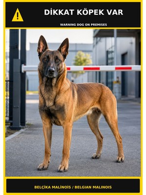 Ti Play Dikkat Köpek Var Belçika Malinois Görselli Pvc Uyarı Levhası 21X30CM