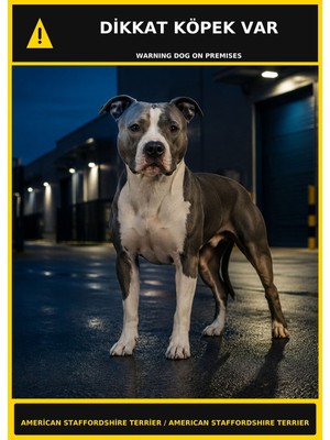 Ti Play Dikkat Köpek Var Amerikan Staffordshire Terrier Görselli Pvc Uyarı Levhası 50X70CM
