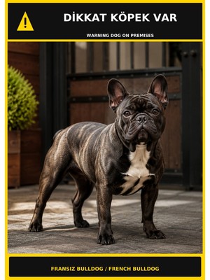 Ti Play Dikkat Köpek Var Fransız Bulldog Görselli Pvc Uyarı Levhası 35X50CM