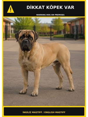 Ti Play Dikkat Köpek Var Ingiliz Mastiff Görselli Pvc Uyarı Levhası 50X70CM