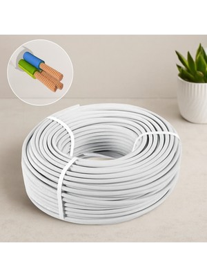 Sepetopia Ttr 3x2.5 mm Cca Elektrik Kablosu 100 M