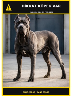 Ti Play Dikkat Köpek Var Cane Corso Görselli Pvc Uyarı Levhası 35X50CM