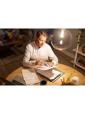 Toptan Budur LED Classic 100W A60 Filament Ampul, 2700 Sıcak Sarı, E27 Normal Duy, Dim Edilmez