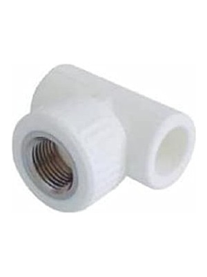 Toptan Budur Pp Dişi Te Dişli 32X1X32 Beyaz