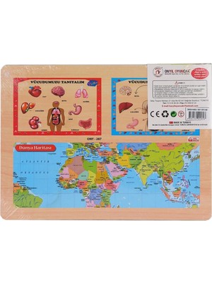 Colezium ONY-287 288 Ahşap Tutmalı Vücumuzu Tanıyalım -Onyıl Oyuncak