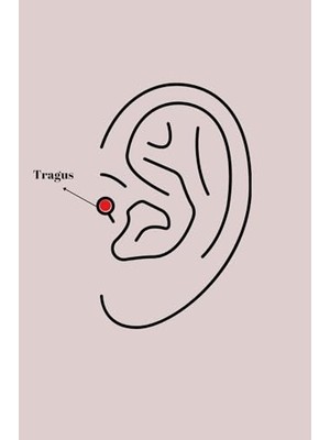 Toptan Budur TJ-PR1305 Çok Renkli Tek Ebat, MIYANGO(7602) 316L Çelik Gümüş Renk Zirkon Taşlı Tragus Pierci