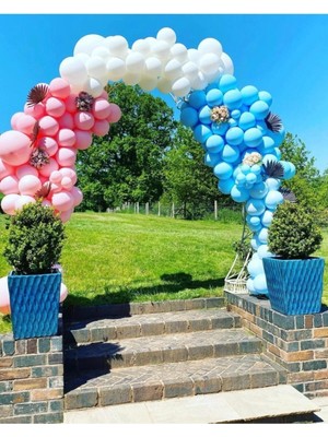 King Shark Cinsiyet Partisi Balon Zinciri Pembe Mavi Beyaz 100 Adet