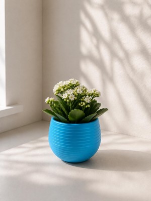 Neva Home Mini Yuvarlak Dekoratif Saksı, Mavi