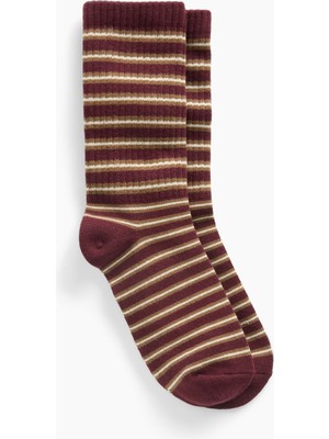 Gap Erkek Bordo Fitilli Çizgili Çorap