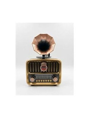 Everton RT-606 Gramofonlu, Şarjlı,  Nostaljik Radyo( Bluetooth-Usb-Sd-Fm)