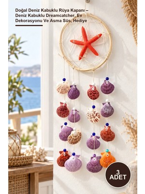 Yenilig 3 Adet Doğal Deniz Kabuklu Rüya Kapanı – Deniz Kabuklu Dreamcatcher, Ev Dekorasyonu ve Asma Süs, Hediye