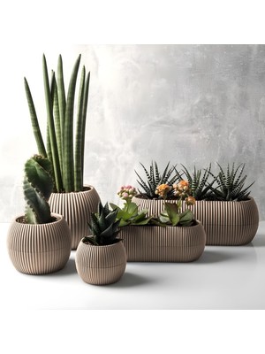 Vera Concept Store Mercan Saksı Set Dekoratif Drenajlı Çizgili Mat (5 Parça, Bej)