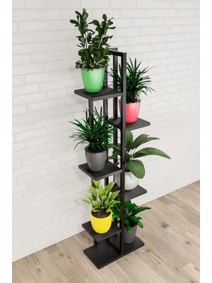 Vera Concept Store Dikek Çiçeklik 6 Bölmeli Raf (Siyah-Siyah)