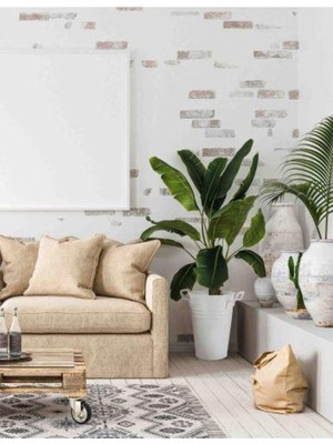 Vera Concept Store Beyaz Galvaniz Vazo Saksı 30CM