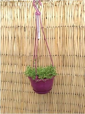 Vera Concept Store Safir Makrome Saksı 1,7 Lt 2 Adet Vişne Renkli Saksı Askılı Saksı Plastik Saksı Çiçek Saksısı