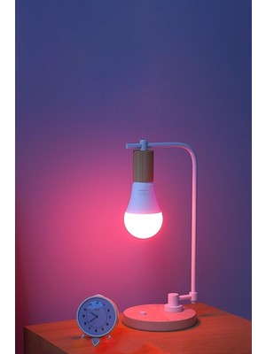Vera Concept Store Rgb Kumandalı Renkli LED Ampul 9 Watt Işık Şiddeti Ayarlanabilir/kısılabilir Çok Renkli 3 Adet, DERWEL3DT