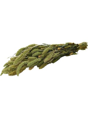 Vera Concept Store Kuru Çiçek Kurutulmuş Seterya Demeti Naturel