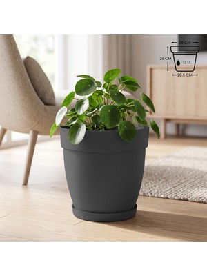 Vera Concept Store Mono Saksı Tabaklı Drenaj Delikli Izgaralı Plastik Çiçek Saksısı (Antrasit, 50 Litre)