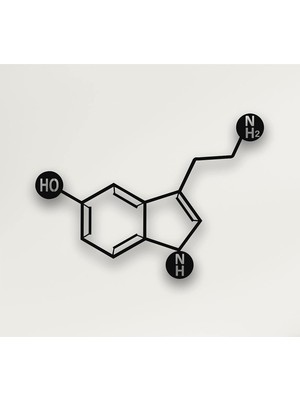 Vera Concept Store Metal Duvar Sanatı - Serotonin -3d Duvar Silueti Metal Duvar Dekoru Ev Ofis Dekorasyonu Yatak Odası Oturma Odası Dekorasyonu (18 G x 10 Y / 46X25CM)