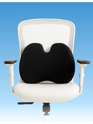 Vera Concept Store Ergonomik Bel ve Omurga Destekli Minder, Siyah, Ofis-Araba-Ev Için