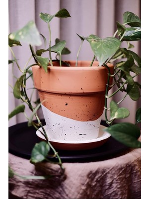 Vera Concept Store Terracotta Saksı Siyah Beyaz Benekli 16X18