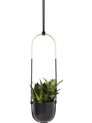 Vera Concept Store Bolo Iç Mekan Için Çiçek Askısı – Duvara ve Tavana Takmak Için Asılı Çiçek Saksısı, Oda Bitkileri, Sukulentler, Hava Bitkileri, Kaktüs, Yapay Bitkiler