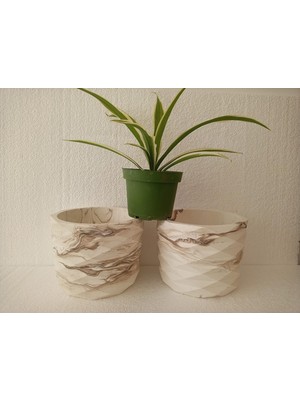 Vera Concept Store Mermer Efektli Beton Saksı 2 Adet