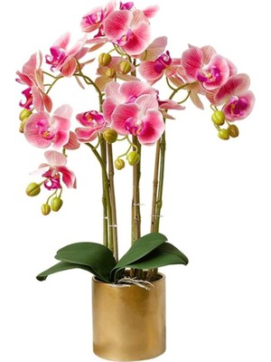 Vera Concept Store Yapay Çiçek Saksı Yapay Phalaenopsis Çiçek Aranjmanı Yapay Çiçekler Ev Ofis Banyo Için Vazolu Sahte Orkideler, Güzel Şekil