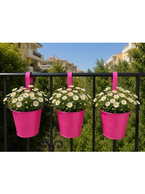 Vera Concept Store Askılı Balkon Saksı Seti, 3 Adet, Metal, Şeker Pembe 1,5lt