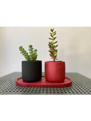 Vera Concept Store Beton 2'li Sukulent Kaktüs Saksı Seti Dekoratif Özel Gün Hediye %100 Beton