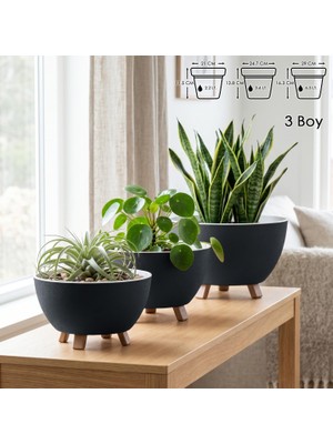 Vera Concept Store Sora Saksı Süzgeçli Ayaklı Delikli Plastik Aranjman Sukulent Saksısı (Antrasit, 3 Boy)