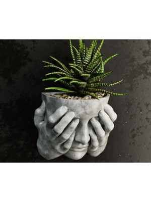 Vera Concept Store Zarif Kadın Figürlü Duvar Saksısı - Minimalist Dekoratif Sukulent ve Çiçeklik, Modern Duvar Dekoru, Antrasit/beyaz (Opsiyonel Renk), Askılı Estetik Sa