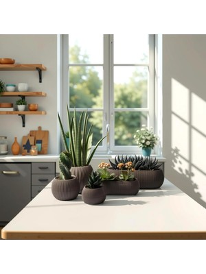 Vera Concept Store Dekoratif Saksı Seti 5 Parça Modern Saksılar, Kaktüs Sukulent ve Dekoratif Çiçek Saksıları (Kahverengi)