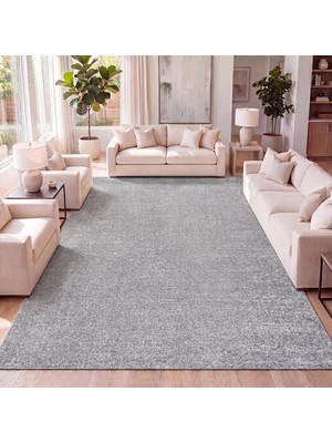 Vera Concept Store SEU100A-3 Pus Katı Düşük Tüylü Iç Mekan Halı Günlük Çağdaş Katı Geleneksel Kolay Temizlenen Yatak Odası Mutfak Oturma Odası Dökülmez, 3ft x 5 Ft, Gri