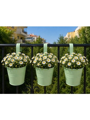 Vera Concept Store Askılı Balkon Saksı Seti, 3 Adet, Metal, Açık Yeşil 1,5lt